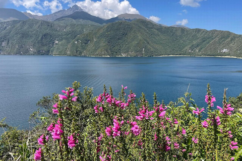 Z Quito: Wycieczka do wulkanu Cotopaxi i laguny Limpiopungo