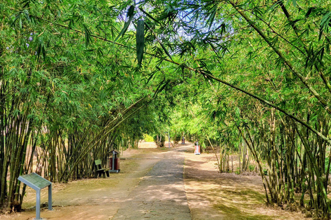 Hue: Private Transfer to Phong Nha with DMZ Tour