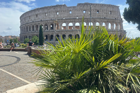 Small Group Guided Tour Colosseum Roman Forum, Palatine Hill Standard Tickets