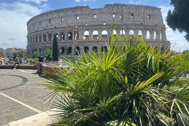 Small Group Guided Tour Colosseum Roman Forum, Palatine Hill Standard Tickets