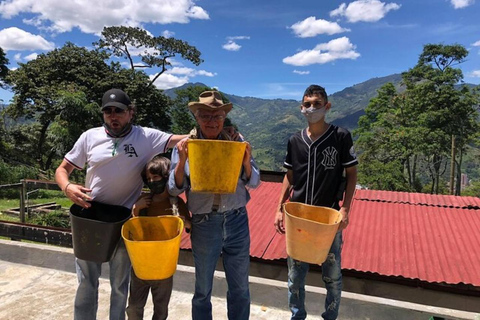 From Medellin: Guatape Coffee Tour Express Colombia