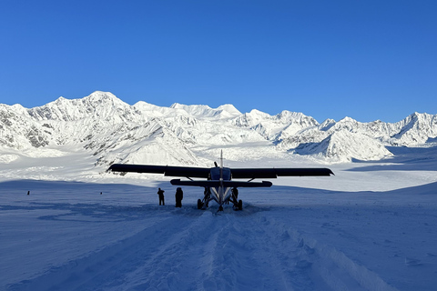 Talkeetna: رحلة جبلية مع هبوط اختياري على الجليدرحلة مع Glacier Landing