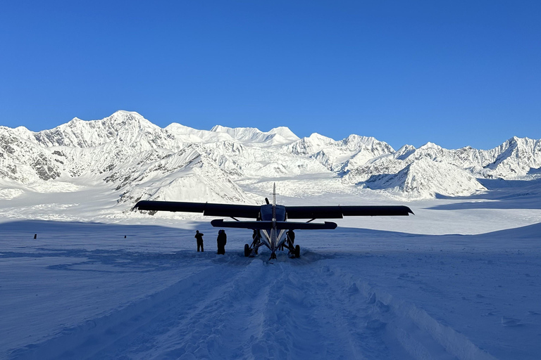 Talkeetna: رحلة جبلية مع هبوط اختياري على الجليدرحلة مع Glacier Landing