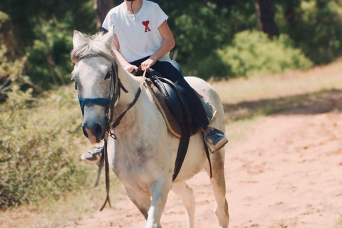 Side: Horseback Riding Adventure with Hotel Pickup