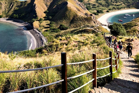 Labuan Bajo: Komodo National Park 6 Spots by Fast Boat