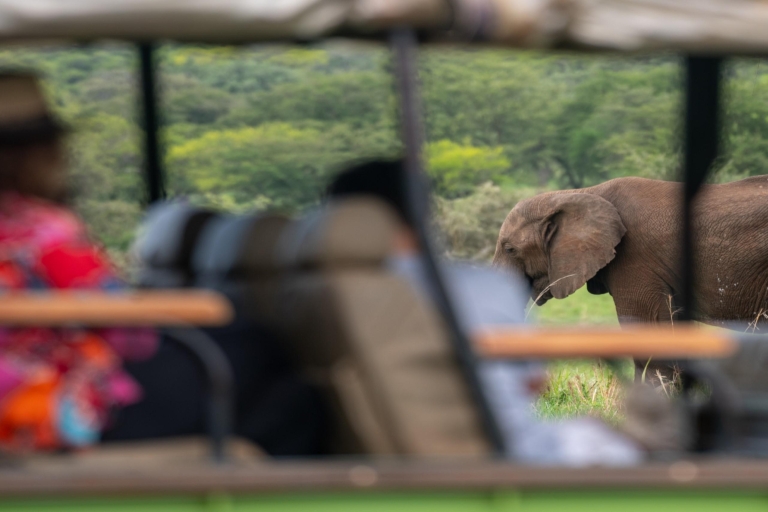 Safari por el Circuito Adveo-Cultural de Uganda
