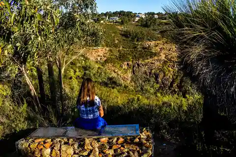Perth: Darling Range watervallen & onderdompeling in wilde bloemen