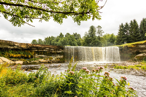 Estonian Countryside and Lahemaa Day Trip from Tallinn