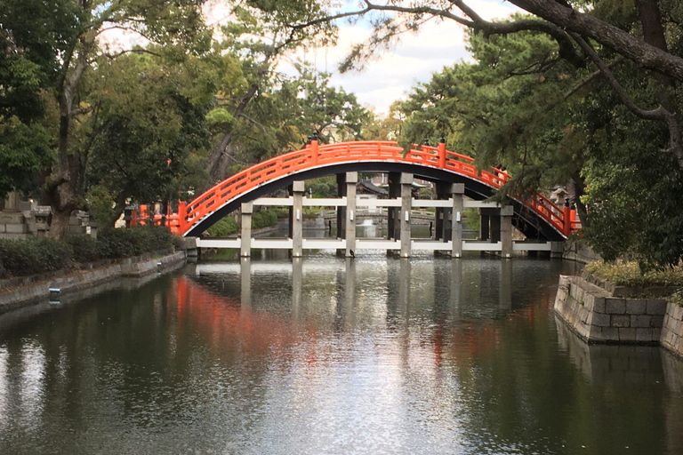 Osaka: En heldags Privat dagsutflykt med guidad stadsvandring i den historiska staden