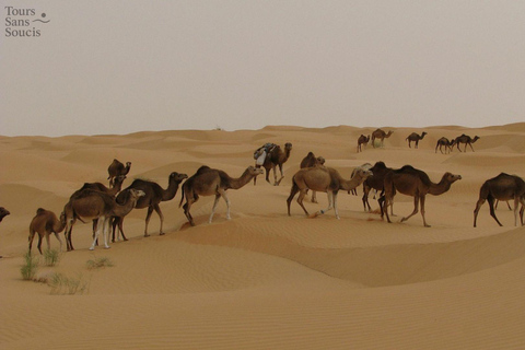 Tunisia: 2-Day, 1-Night Desert Trip - Kairouan, Matmata, Ksar Ghilane, Tataouine
