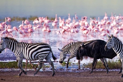 Day Trip Lake Nakuru National Park