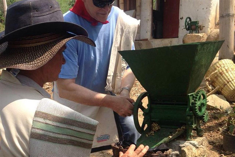 From Medellin: Colonial Coffee Trail 3-Day Tour