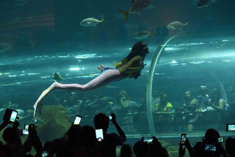 Découvrez AquaRio et le Boulevard Olympique : Vie marine et art