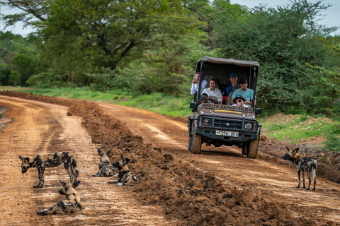 Vanaf Zanzibar: Mikumi dagtrip safari per vlucht.