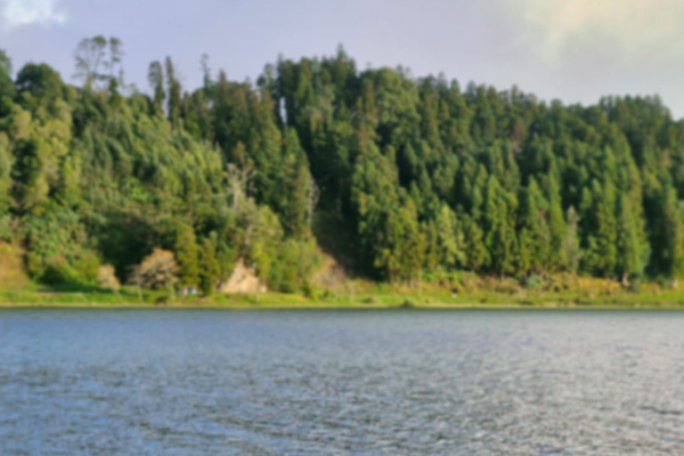 Furnas: full-day tour of hot springs and volcanic landscapes Furnas: a full-day tour of the hot springs and volcanic landscapes