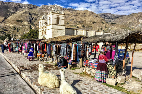 Excursión de un día al Cañón del Colca desde Arequipa con final en Puno