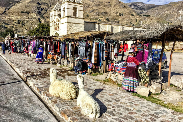 Excursión de un día al Cañón del Colca desde Arequipa con final en Puno