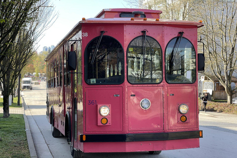 Vancouver: Weihnachtslichter Karaoke Trolley Tour