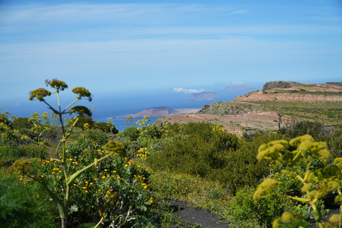Magical Lanzarote: Northern Island Tour