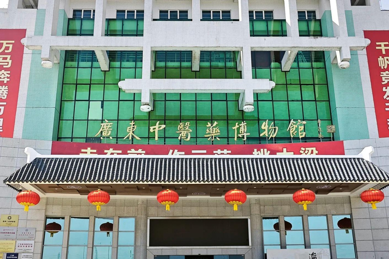 Guangzhou: Traditional Chinese Medicine Wellness Oneday Tour