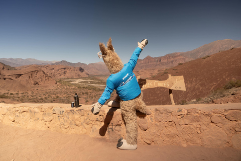 Cafayate: Tour de dia completo por bodegas y degustacion de vinos
