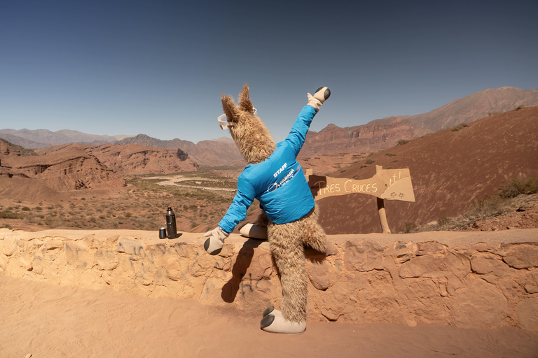 Cafayate: Tour de dia completo por bodegas y degustacion de vinos