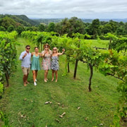 Sunshine Coast Winery, Distillery, Brewery Tour with lunch
