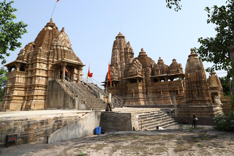 From Delhi: 4-Day Khajuraho Temples & Panna Tiger Safari