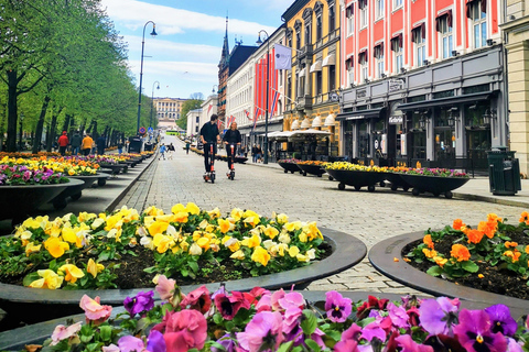Oslo: Guided Walking Tour with Opera House & Library Oslo: Guided Walking Tour with Opera House & Library