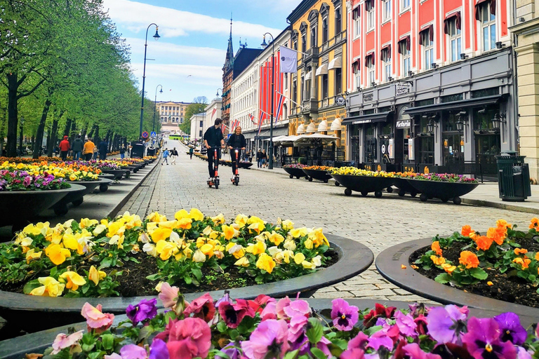 Oslo: Guided Walking Tour with Opera House & Library Oslo: Guided Walking Tour with Opera House & Library