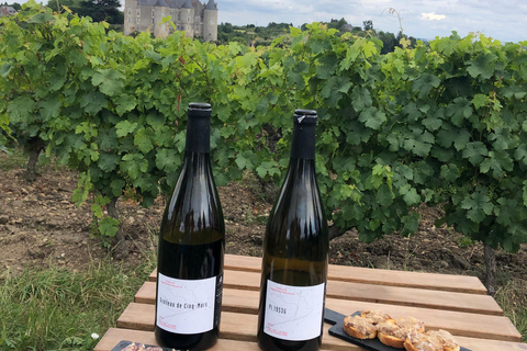 Manhã - Tour de vinhos do Vale do Loire em Vouvray e Montlouis