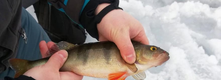 Kemi-Tornio : Safari de pêche sur glace en motoneige
