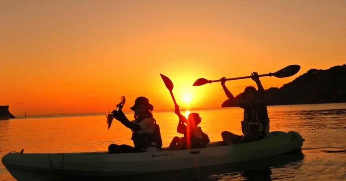 Alquila un kayak y explora la isla de Caprera | GetYourGuide