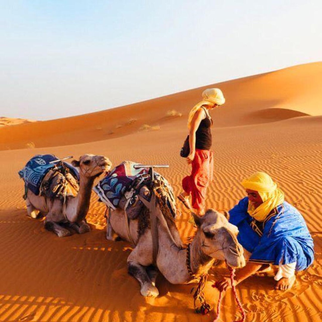 3D/2N Visite privée du désert de Fès à Fès - dromadaire