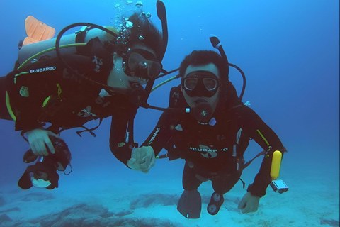 IMMERSIONI A MOSQUERA - TESORI SUBACQUEI DELLE GALAPAGOS