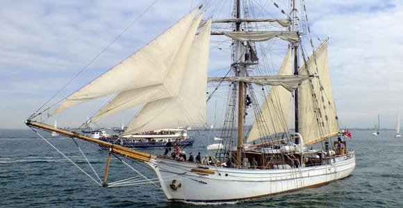 Sydney Harbour: Tall Ship Boxing Day Cruise - Soren Larsen