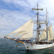 Sydney Harbour: Tall Ship Boxing Day Cruise - Soren Larsen