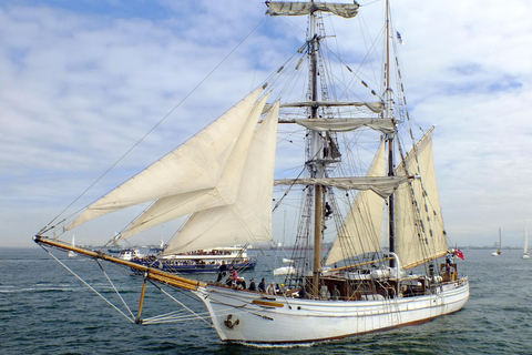 Sydney Harbour: Tall Ship Boxing Day Cruise - Soren Larsen