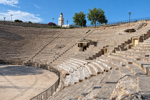 Bardo Museum, Carthage & Sidi Bou Said Day Tour