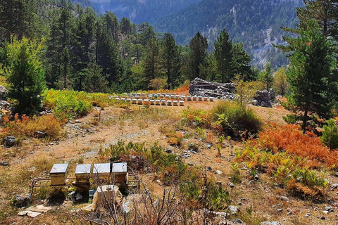 Hiking Tour At The Taurus Mountains of Alanya Meeting Point At The Bus Staion of Alanya (Otogar)
