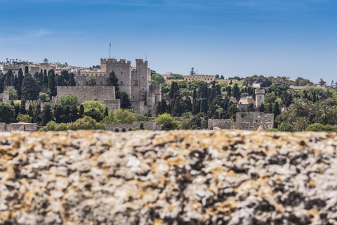 Visite en petit groupe avec guide de la vieille ville de Rhodesbillets de visite à pied