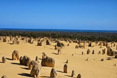 Perth: Pinnacles Desert & Sanddünen – Private Tagestour