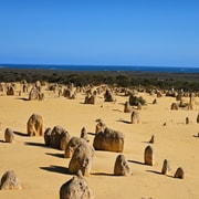 Perth: Private Day Tour; Pinnacles, Lancelin Sand Dunes