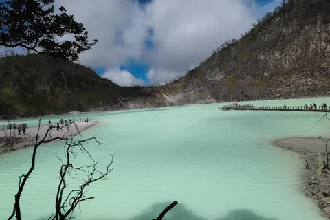 Bandung : White Crater, Tea Plantation Tour Guide Bandung