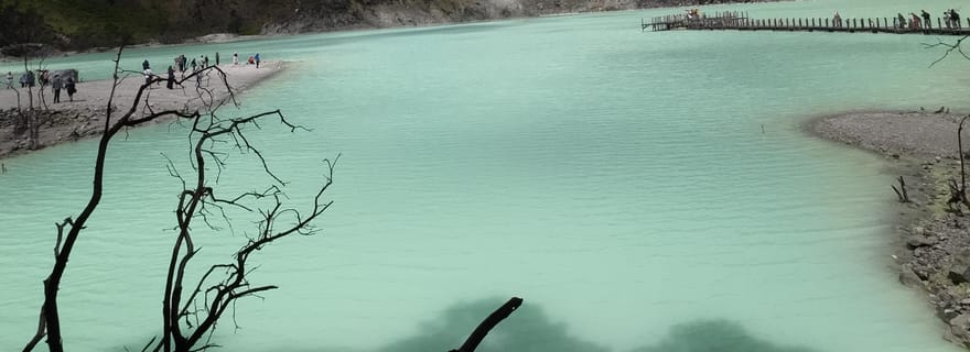 Bandung : Cratère blanc, visite guidée de la plantation de thé à Bandung