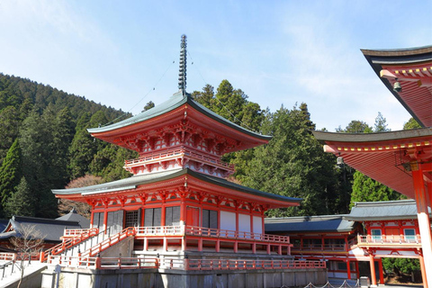 From Kyoto: Lake Biwa & Omi Hachiman Private Day Trip