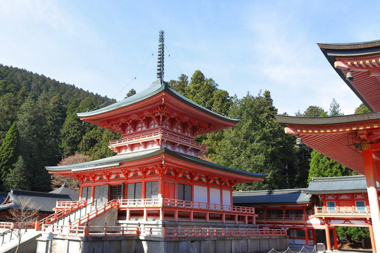 From Kyoto: Lake Biwa & Omi Hachiman Private Day Trip