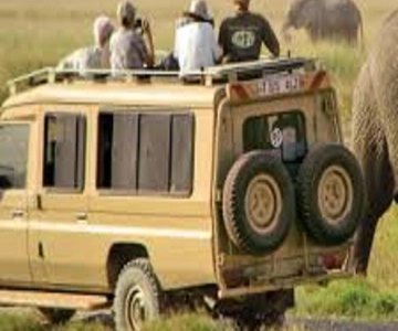 4 dias de safari partilhado na Grande Tanzânia | Serengeti Adventures