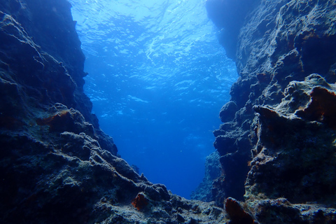 Zakynthos: Small-Group Scuba Diving for All Levels Zakynthos: Discover Scuba Diving Experience with Photos