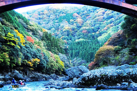 جولة تاكسي خاصة في كيوتو مع مصور ومرشد سياحي مرخص، 8 أشخاص